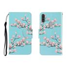 For OPPO A11 Colored Drawing Horizontal Flip Leather Case with Holder & Card Slot & Wallet(Magnolia) - 1