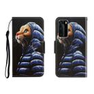 For Huawei P40 Pro Colored Drawing Horizontal Flip Leather Case with Holder & Card Slot & Wallet(Down Jacket Cat) - 1