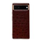 For Google Pixel 6 Pro Genuine Leather Ostrich Texture Nano Electroplating Phone Case(Coffee) - 1