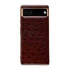 For Google Pixel 7 Genuine Leather Ostrich Texture Nano Electroplating Phone Case(Coffee) - 1