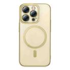 For iPhone 14 Pro Baseus Glitter Series Magnetic Phone Case (Gold) - 1