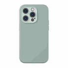 For iPhone 14 Pro Baseus Liquid Silica Gel Magnetic Phone Case (Green) - 1