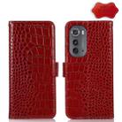 For Motorola Edge 2022 Crocodile Top Layer Cowhide Leather Phone Case(Red) - 1