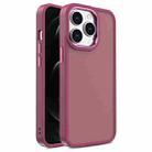 For iPhone 12 Pro Max Shield Skin Feel PC + TPU Phone Case(Red) - 1