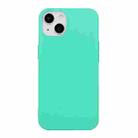 For iPhone 14 Shockproof Frosted TPU Protective Case(Mint Green) - 1