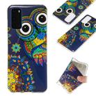 For Galaxy S20 Luminous TPU Mobile Phone Protective Case(Blue Owl) - 1