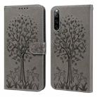 For Sony Xperia 10 IV Tree & Deer Pattern Pressed Flip Leather Phone Case(Grey) - 1