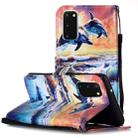 For Galaxy S20 Painted Pattern Horizontal Flip Leather Case with Holder & Card Slots & Wallet(Dolphin) - 1