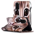 For Galaxy S20 Painted Pattern Horizontal Flip Leather Case with Holder & Card Slots & Wallet(Coffee Cat) - 1