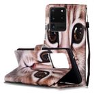 For Galaxy S20 Ultra Painted Pattern Horizontal Flip Leather Case with Holder & Card Slots & Wallet(Coffee Cat) - 1