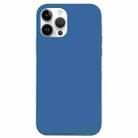 For iPhone 14 Pro Solid Silicone Phone Case(Sea Blue) - 1