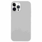 For iPhone 14 Pro Solid Silicone Phone Case(Blue Grey) - 1