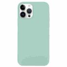 For iPhone 14 Pro Max Solid Silicone Phone Case(Emerald Green) - 1