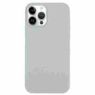 For iPhone 14 Pro Max Solid Silicone Phone Case(Blue Grey) - 1