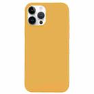 For iPhone 14 Pro Max Solid Silicone Phone Case(Gold) - 1