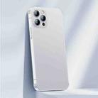 For iPhone 12 Pro Max Benks Ultra-thin Zero Sense Frosted Phone Case(White) - 1