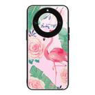 For Honor X40 Colorful Painted Glass Phone Case(Flamingo) - 1