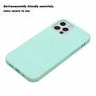 For iPhone 13 Pro Wheat Straw Material Degradable TPU Phone Case(Light Green) - 2