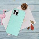 For iPhone 13 Pro Wheat Straw Material Degradable TPU Phone Case(Light Green) - 5