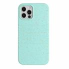 For iPhone 12 Pro Wheat Straw Material Degradable TPU Phone Case(Light Green) - 1