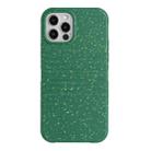 For iPhone 12 Pro Max Wheat Straw Material Degradable TPU Phone Case(Dark Green) - 1