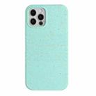 For iPhone 12 Pro Max Wheat Straw Material Degradable TPU Phone Case(Light Green) - 1