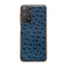 For Xiaomi Redmi Note 11 Global/Note 11S 4G Genuine Leather Ostrich Texture Nano Plating Phone Case(Blue) - 1