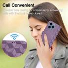 For iPhone 14 Pro Spider Printed Leather Phone Case(Purple) - 7