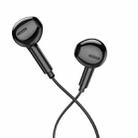 Borofone BM71 1.2m Light Song Type-C Wire-controlled Digital Earphones with Mic(Black) - 2