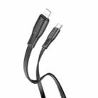 Borofone BX85 1m 20W USB-C / Type-C to 8 Pin Auspicious PD Charging Data Cable(Black) - 1