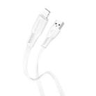 Borofone BX85 1m 2.4A USB to 8 Pin Auspicious Charging Data Cable(White) - 1