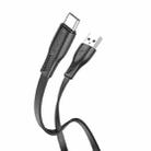 Borofone BX85 1m 3A USB to USB-C / Type-C Auspicious Charging Data Cable(Black) - 1