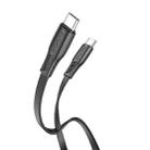 Borofone BX85 1m 60W USB-C / Type-C to Type-C Auspicious Charging Data Cable(Black) - 1