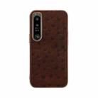 For Sony Xperia 1 IV Genuine Leather Ostrich Texture Nano Plating Phone Case(Coffee) - 1