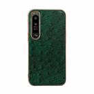 For Sony Xperia 1 IV Genuine Leather Ostrich Texture Nano Plating Phone Case(Green) - 1