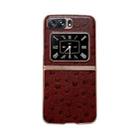 For Motorola Moto Razr 2022 Genuine Leather Ostrich Texture Nano Plating Phone Case(Coffee) - 1