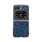 For Motorola Moto Razr 2022 Genuine Leather Ostrich Texture Nano Plating Phone Case(Blue) - 1