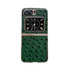 For Motorola Moto Razr 2022 Genuine Leather Ostrich Texture Nano Plating Phone Case(Green) - 1