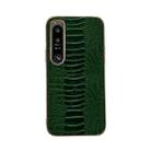 For Sony Xperia 1 IV Genuine Leather Weilai Series Nano Plating Phone Case(Green) - 1