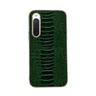 For Sony Xperia 10 IV Genuine Leather Weilai Series Nano Plating Phone Case(Green) - 1