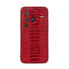 For vivo X80 Pro 5G Genuine Leather Weilai Series Nano Plating Phone Case(Red) - 1