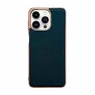 For iPhone 14 Pro Waves Series Nano Electroplating Genuine Leather Phone Case(Green) - 1