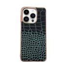 For iPhone 14 Pro Crocodile Texture Genuine Leather Nano Electroplating Phone Case(Dark Green) - 1