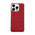 For iPhone 14 Pro Crocodile Texture Genuine Leather Nano Electroplating Phone Case(Red) - 1