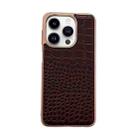 For iPhone 13 Pro Crocodile Texture Genuine Leather Nano Electroplating Phone Case(Coffee) - 1