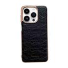 For iPhone 14 Pro Sky Series Nano Electroplating Genuine Leather Phone Case(Black) - 1