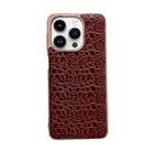 For iPhone 14 Pro Sky Series Nano Electroplating Genuine Leather Phone Case(Coffee) - 1