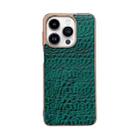 For iPhone 14 Pro Sky Series Nano Electroplating Genuine Leather Phone Case(Green) - 1