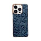 For iPhone 14 Pro Max Sky Series Nano Electroplating Genuine Leather Phone Case(Blue) - 1