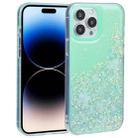For iPhone 14 Pro DFANS DESIGN Snowflake Starlight Shining Phone Case(Green) - 1